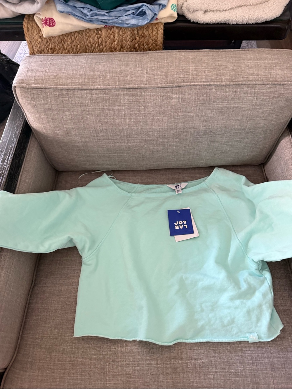 JoyLab Mint Green Kids' Raglan Pullover Sweatshirt